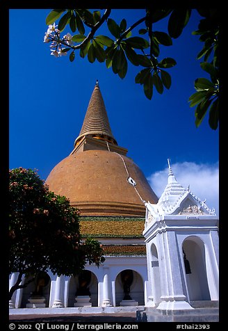 Phra Pathom Chedi, the tallest buddhist monument in the world. Nakkhon Pathom, Thailand