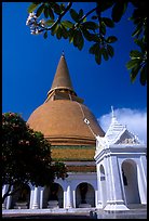 Phra Pathom Chedi, the tallest buddhist monument in the world. Nakhon Pathom, Thailand