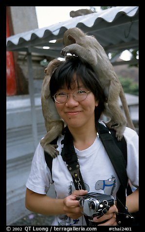 Monkeys climb on a tourist, San Phra Kan. Lopburi, Thailand (color)