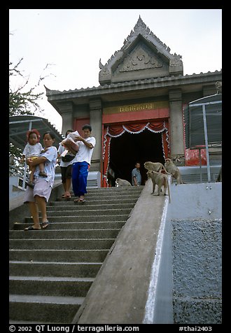 San Phra Kan (Kala shrine), invaded by monkeys. Lopburi, Thailand