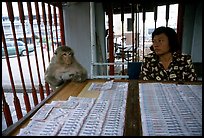 Lottery tickets vendor and monkey, San Phra Kan. Lopburi, Thailand