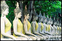 Row of Buddha images in Wat Chai Mongkon, reverently swathed in cloth. Ayutthaya, Thailand