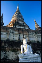 Buddha statue and Wat Chai Mongkon. Ayutthaya, Thailand ( color)