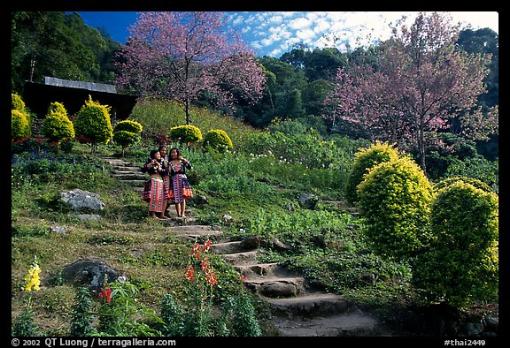 Children in traditinal hmong dress in flower garden. Chiang Mai, Thailand (color)