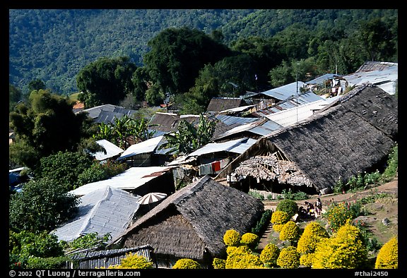 Hmong village. Chiang Mai, Thailand (color)