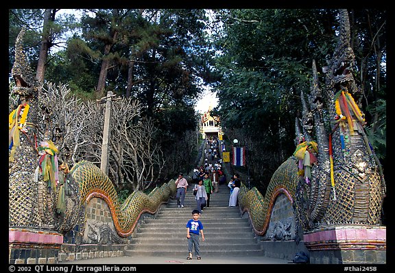 Naga (snake) staircase leading to Wat Phra That Doi Suthep. Chiang Mai, Thailand (color)