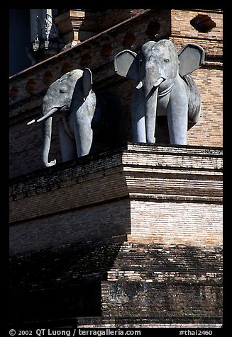 Elephants at Wat Chedi Luang. Chiang Mai, Thailand (color)