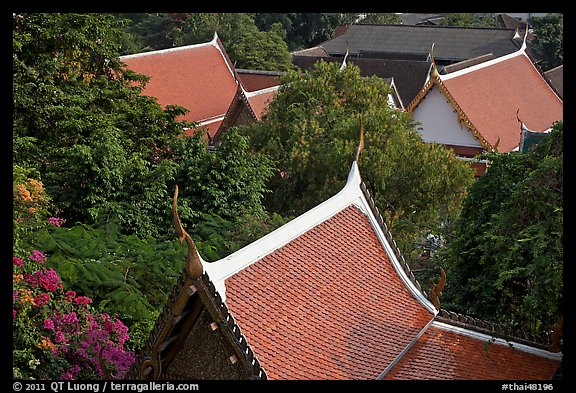 Thai-style temple rooftops emerging from trees. Bangkok, Thailand (color)
