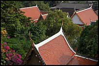 Thai-style temple rooftops emerging from trees. Bangkok, Thailand (color)