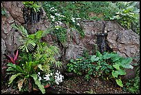 Flowers and cascade, Golden Mount. Bangkok, Thailand (color)