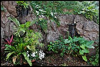 Flowers and cascade, Golden Mount. Bangkok, Thailand ( color)