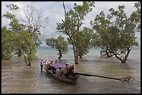 Longtail boat set to depart through mangroves, Rai Leh. Krabi Province, Thailand ( color)