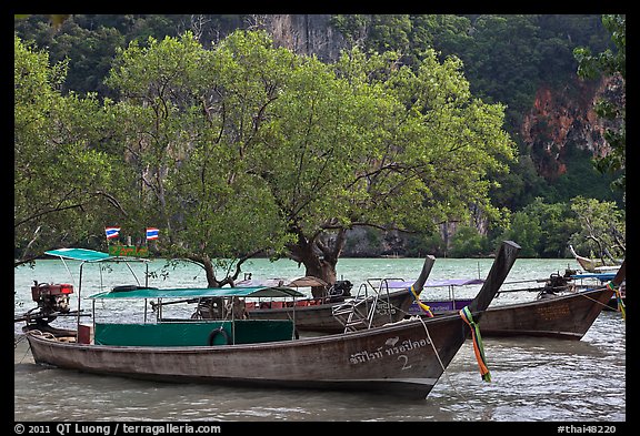 Boats, mangroves, and cliff, Rai Leh East. Krabi Province, Thailand (color)