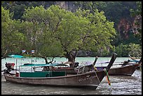 Boats, mangroves, and cliff, Rai Leh East. Krabi Province, Thailand