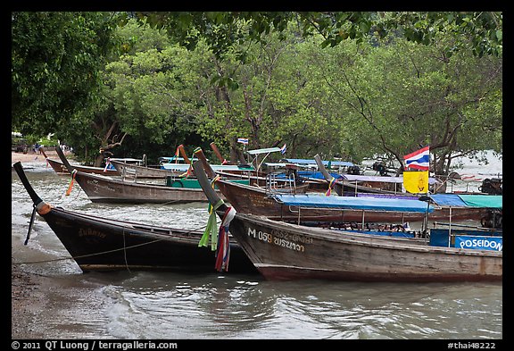 Long tail boats and trees, Ao Rai Leh East. Krabi Province, Thailand (color)