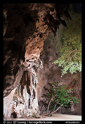 Cliff and trees at night. Krabi Province, Thailand