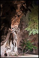 Cliff and trees at night. Krabi Province, Thailand (color)