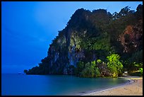 Cliffs and trees at night, Rai Leh East. Krabi Province, Thailand (color)