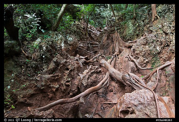 Steep path with ropes, Railay. Krabi Province, Thailand