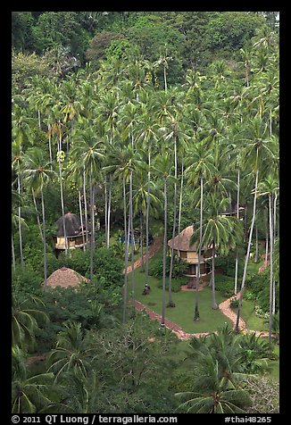 Huts and palm trees from above, Railay. Krabi Province, Thailand