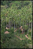 Huts and palm trees from above, Railay. Krabi Province, Thailand