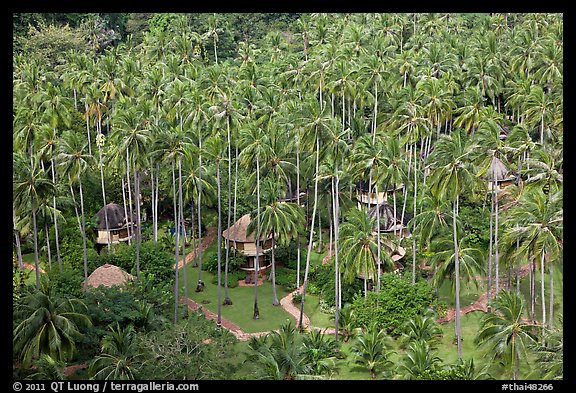 Resort and palm trees from above, Railay. Krabi Province, Thailand (color)