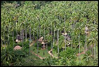 Resort and palm trees from above, Railay. Krabi Province, Thailand