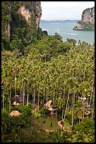 Resort huts, palm trees, and bay seen from Laem Phra Nang, Railay. Krabi Province, Thailand (color)