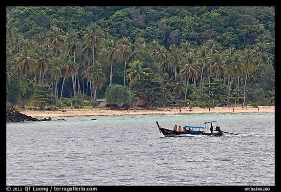 Longtail boat sailing in front of palm-fringed beach, Phi-Phi island. Krabi Province, Thailand (color)