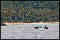 Longtail boat sailing in front of palm-fringed beach, Phi-Phi island. Krabi Province, Thailand ( color)
