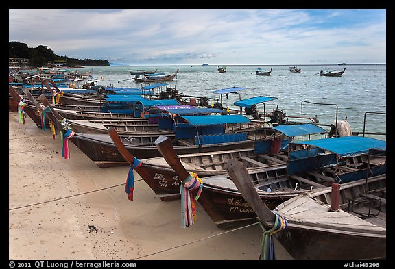 Longtail boats lined up, Ao Ton Sai, Ko Phi Phi. Krabi Province, Thailand