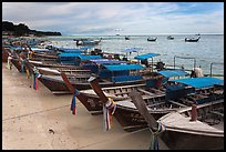 Longtail boats lined up, Ao Ton Sai, Ko Phi Phi. Krabi Province, Thailand ( color)