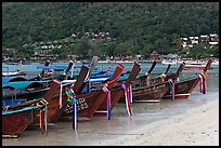 Row of long tail boats on Lo Dalam beach, Phi-Phi island. Krabi Province, Thailand