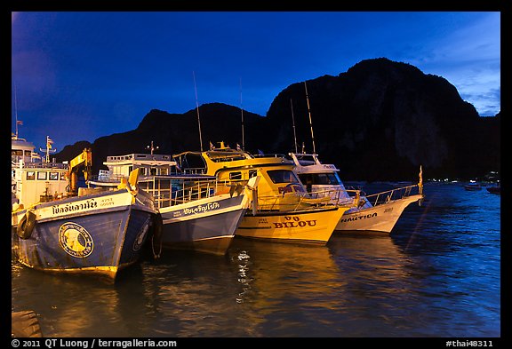 Fishing and tour boats at night, Ko Phi-Phi Don. Krabi Province, Thailand (color)