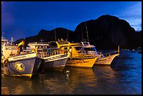 Fishing and tour boats at night, Ko Phi-Phi Don. Krabi Province, Thailand (color)