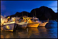 Fishing and tour boats at night, Ko Phi-Phi Don. Krabi Province, Thailand (color)