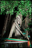 Banyan tree with ribbon by night, Ko Phi-Phi Don. Krabi Province, Thailand (color)