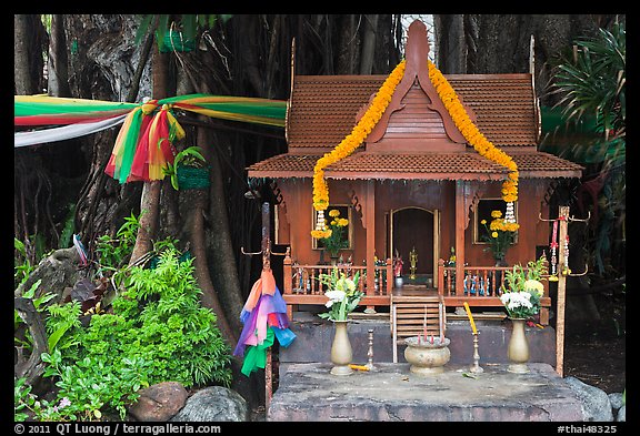 Spirit house and banyan roots, Phi-Phi island. Krabi Province, Thailand (color)