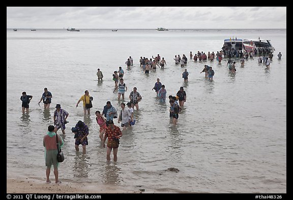 Crowd walking in water, Ko Phi-Phi island. Krabi Province, Thailand (color)