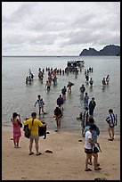 Large group of tourists disembarking from boats, Ko Phi-Phi Don. Krabi Province, Thailand