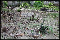 Islamic cemetery, Ko Phi Phi. Krabi Province, Thailand