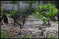 Islamic graveyard, Phi-Phi island. Krabi Province, Thailand