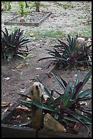 Tombs, islamic burying grounds, Ko Phi-Phi island. Krabi Province, Thailand (color)