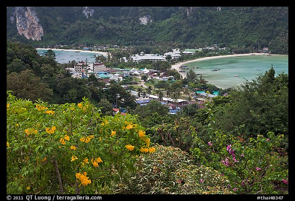 Flowers and isthmus , Phi-Phi island. Krabi Province, Thailand (color)