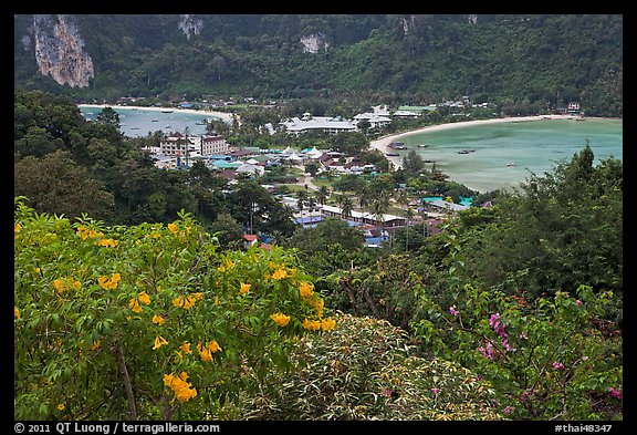 Flowers and isthmus , Phi-Phi island. Krabi Province, Thailand