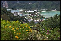 Flowers and isthmus , Phi-Phi island. Krabi Province, Thailand ( color)