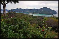 Tropical vegetation, bay, and hills, Ko Phi-Phi Don. Krabi Province, Thailand