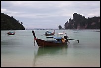 Long Tail boats moored in bay, early morning, Ko Phi Phi. Krabi Province, Thailand ( color)