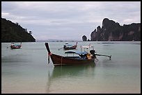 Long Tail boats moored in bay, early morning, Ko Phi Phi. Krabi Province, Thailand