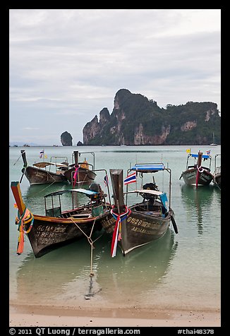 Long tail boats in serene waters of Lo Dalam bay, Ko Phi-Phi island. Krabi Province, Thailand